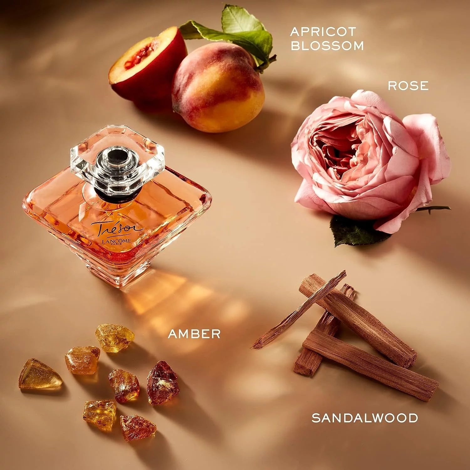 Tresor Eau De Parfum Elegant Rose & Delicate Fruit Blossoms Vaporisateur Natural Spray for Women 3.4 Oz